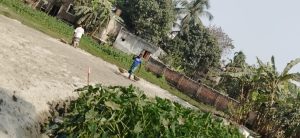 রাজশাহীতে দিনের আলোতে পুকুর ভরাটের দৃশ্য