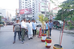 রাসিকের উদ্যোগে নগরীর গুরুত্বপূর্ণ সড়কে টবভিত্তিক বৃক্ষরোপণ চলছে